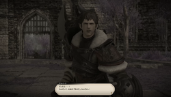 【ff14】ロールクエスト025