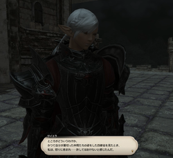 【ff14】ロールクエスト040