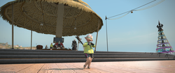 ffxiv_20250817_200916_955