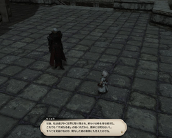 【ff14】ロールクエスト039