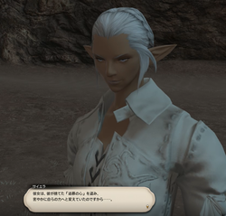 【ff14】ロールクエスト017