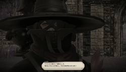 【ff14】ロールクエスト027