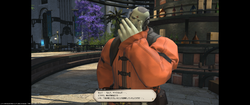 【ff14】ロールクエスト007
