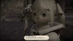 【ff14】ロールクエスト030
