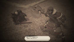 【ff14】ロールクエスト037