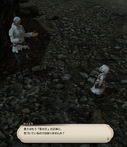 【ff14】ロールクエスト020