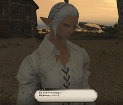 【ff14】ロールクエスト014