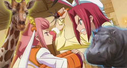 最新の写真を表示 3(中)