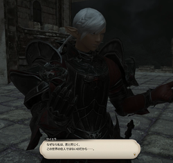 【ff14】ロールクエスト033