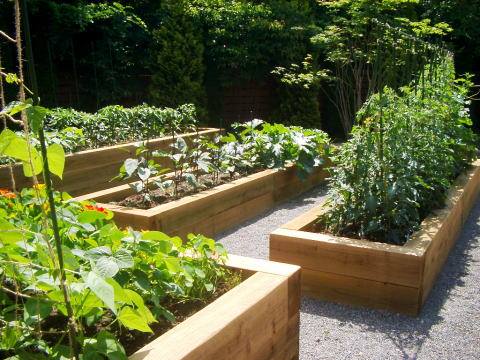畑の新しい形 ゆるい庭作り はいから庭 後藤 オフィシャルブログ