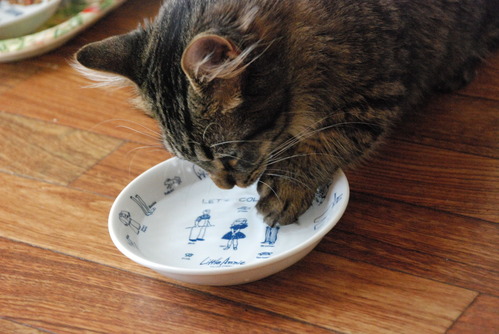 手がびちょびちょ