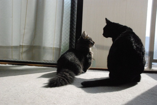 2ショット