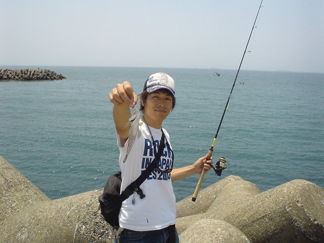 千葉県房総 サバ アオリイカ コチ ふぐ たし犬釣り日記