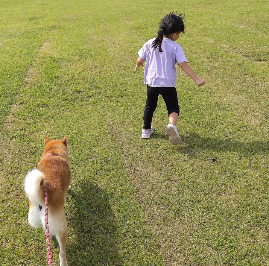 HORIZON_0001_BURST20220917095312753_COVER3