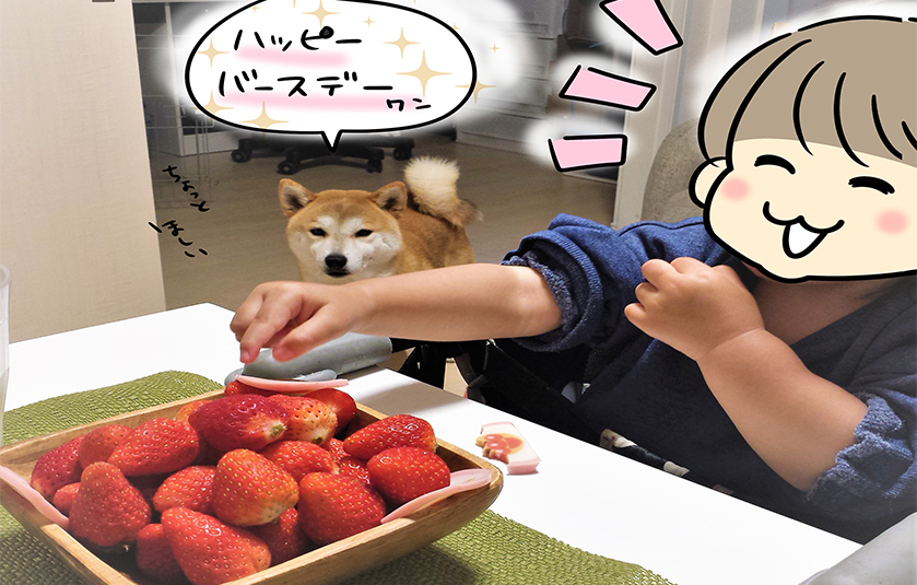 いちご.jpg2