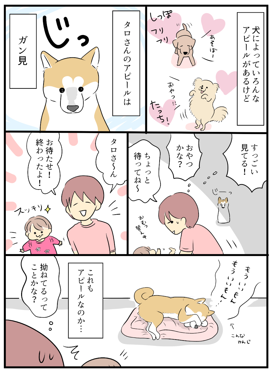 たろろr