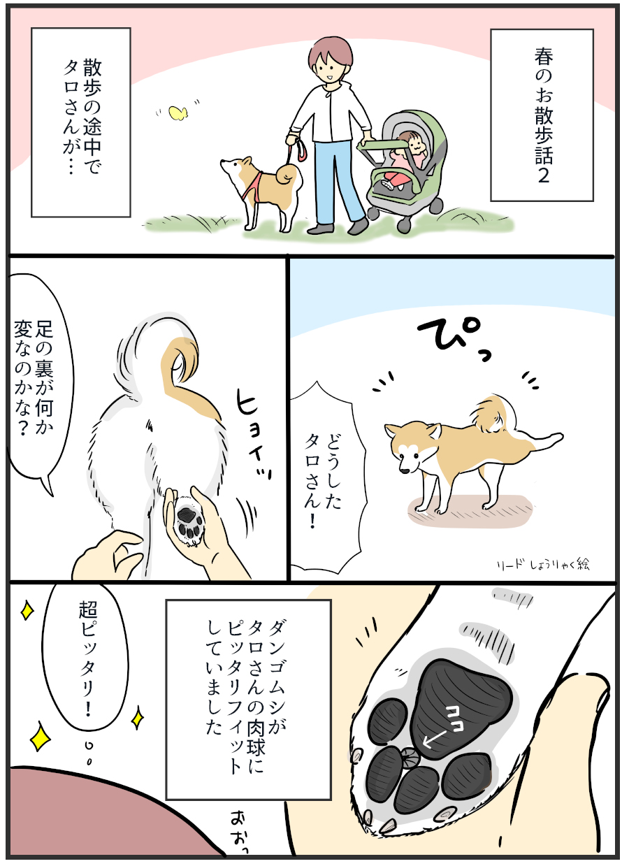 そのに