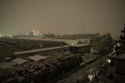IMGP2881