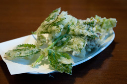 yoshiya04