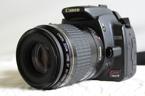 レンズテスト♪ Canon EF 80-200mm F4.5-5.6 USM : デジカメと リスと ...