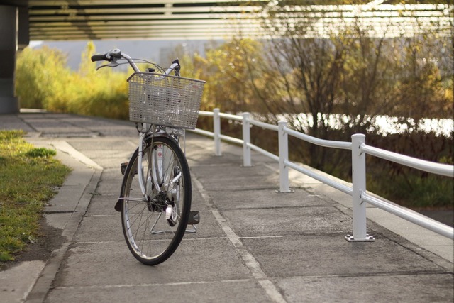 今期はいつまで自転車に乗れるのか 乗れるまで乗っちゃいます デジカメと リスと小鳥と 時々その他