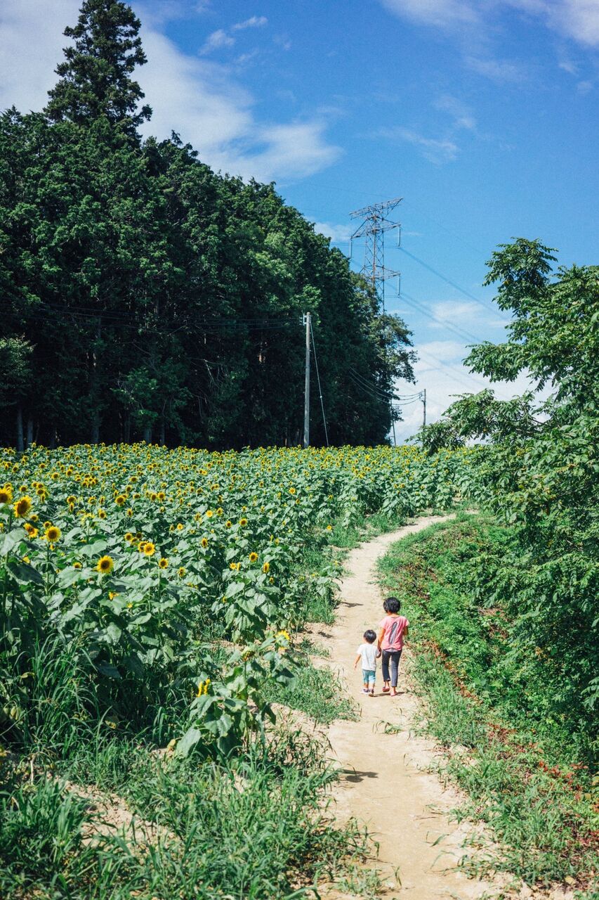画像 夏の田舎の子どもとノスタルジックな画像あげてくやで なんj まとめ太郎