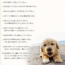 犬の十戒 私をたたかないで 本気になったら私のほうが強いことを忘れないで なんj まとめ太郎 犬の十戒 私をたたかないで 本気になったら私のほうが強いことを忘れないで なんj まとめ太郎