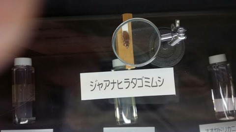 トゲアリトゲナシトゲトゲよりおかしな名前の生き物wwwwwwww おんj まとめ太郎 トゲアリトゲナシトゲトゲよりおかしな名前の生き物wwwwwwww おんj まとめ太郎
