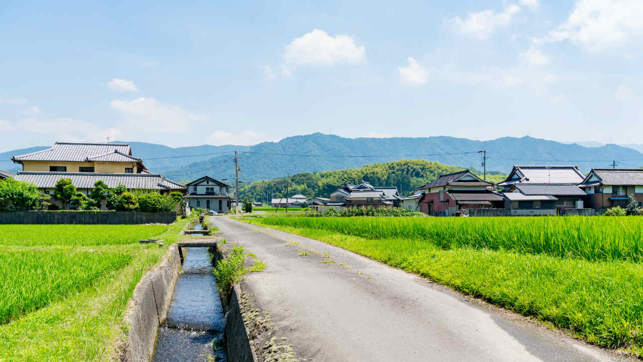 【日本一ド田舎決定戦】岐阜県vs鳥取県vs島根県vs高知県vs宮崎県 : まとめ太郎!