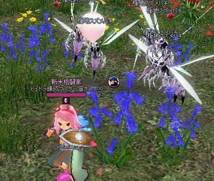 mabinogi_2014_09_21_007