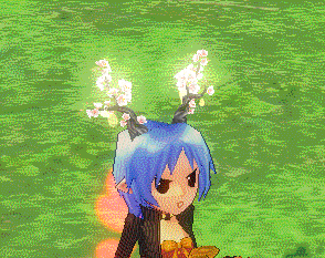 桜が舞い始まる