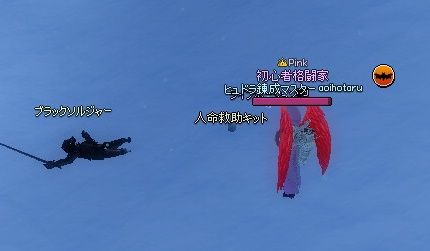 mabinogi_2014_01_09_067
