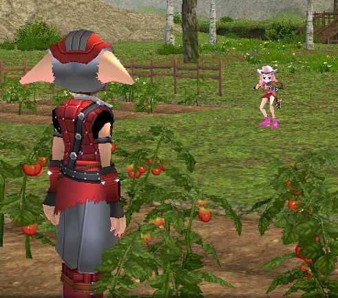 mabinogi_2014_08_02_018