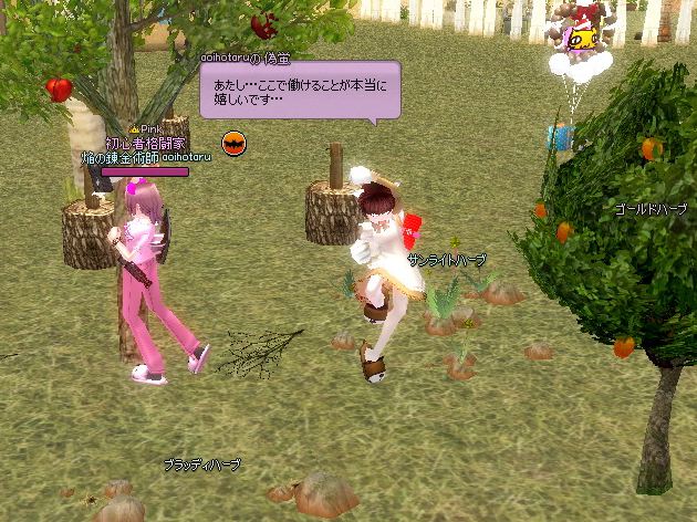 オレンジの木を殴るパートナー