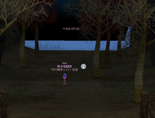 mabinogi_2015_06_08_055