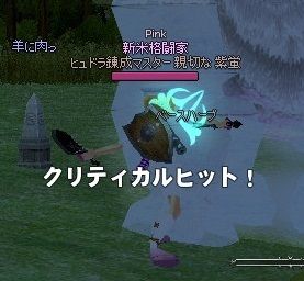 mabinogi_2014_02_05_046