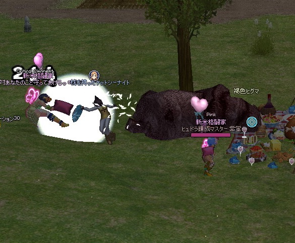 mabinogi_2016_06_18_001
