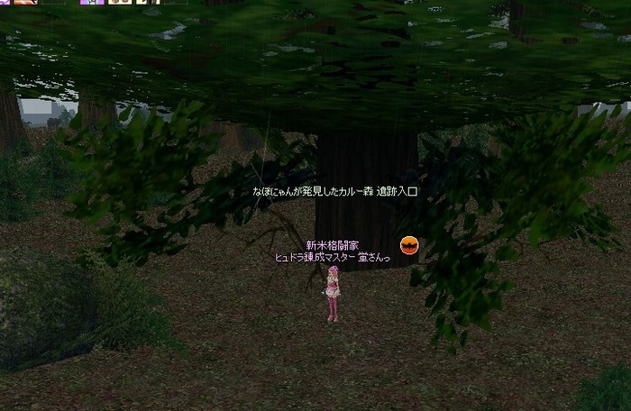 mabinogi_2014_12_11_002
