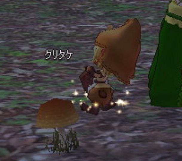 クリタケの妖精