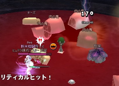 mabinogi_2014_08_18_024