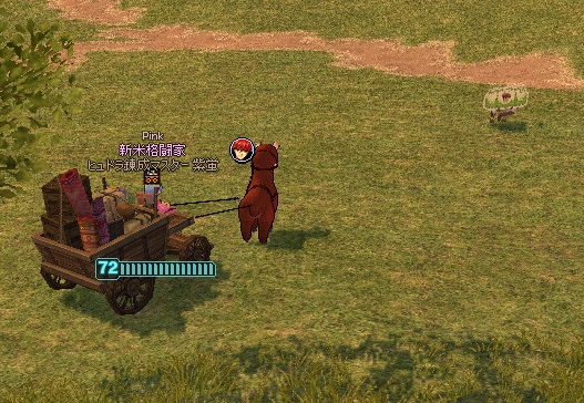 mabinogi_2015_08_12_013