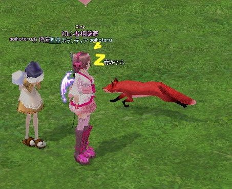 mabinogi_2014_05_27_019