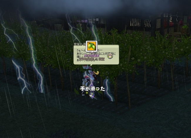 mabinogi_2014_02_15_044