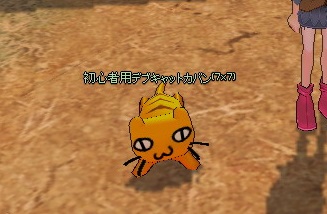mabinogi_2015_10_13_027