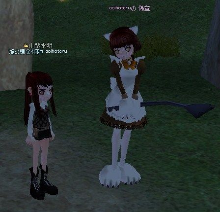 4892c839.jpg