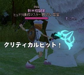 mabinogi_2014_02_05_048
