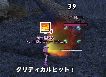 mabinogi_2014_08_02_023