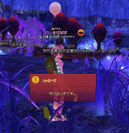 mabinogi_2013_11_27_011