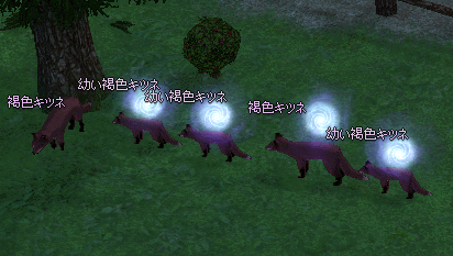 褐色キツネtanasinn