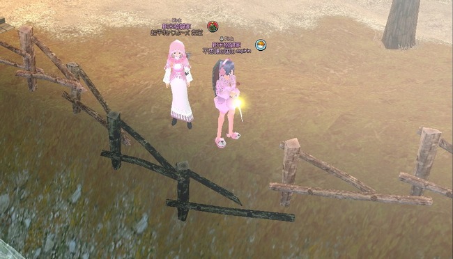 mabinogi_2013_12_27_019